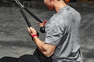 首周价68.8元！逃狱题材CRPG《动物迷城》将于11月3日上线